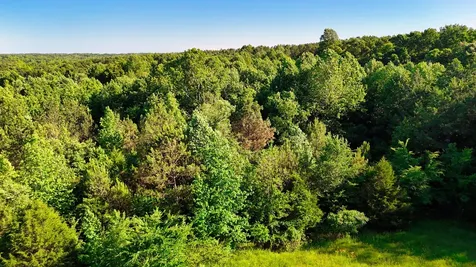 2 Lakewood Lake Lane Huntingdon TN 38344