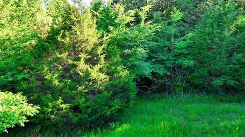 2 Lakewood Lake Lane Huntingdon TN 38344