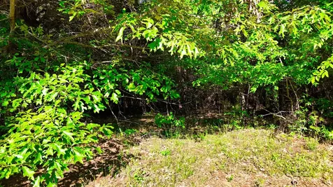 2 Lakewood Lake Lane Huntingdon TN 38344