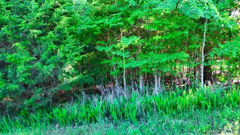 2 Lakewood Lake Lane Huntingdon TN 38344