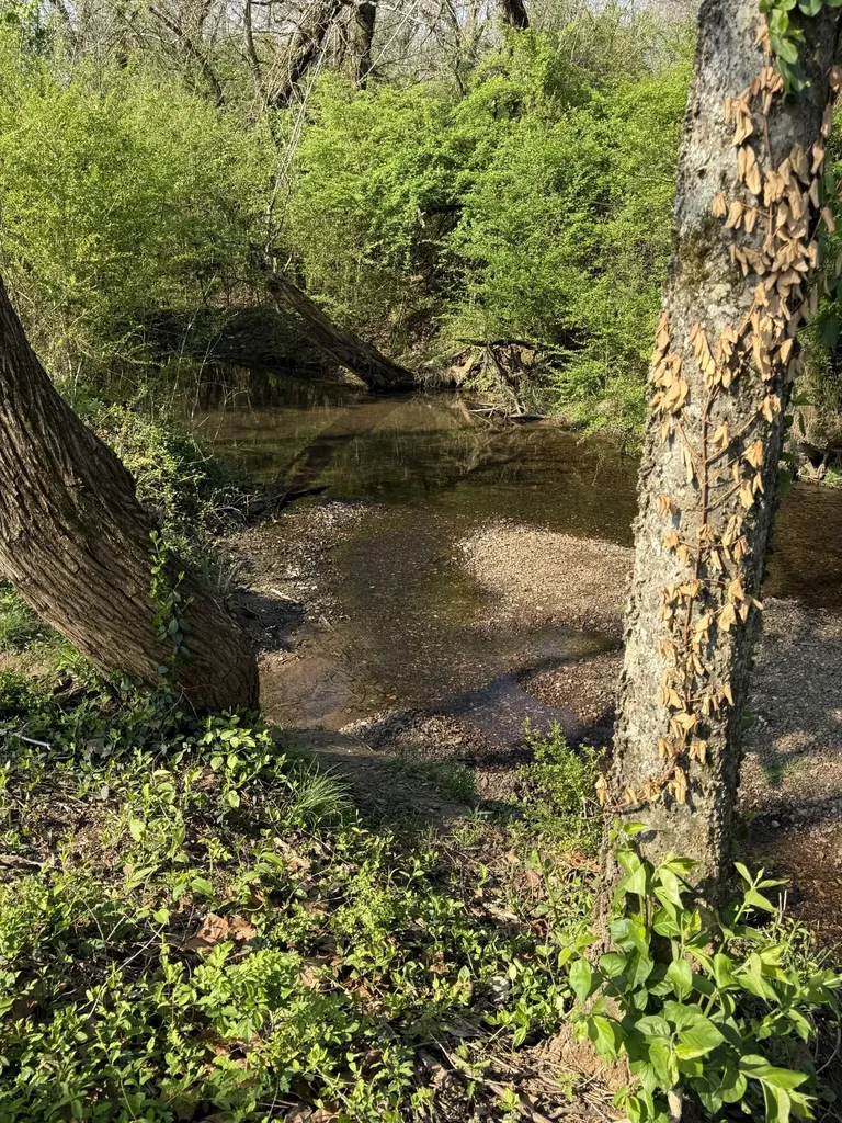 497 Buddy Drive Columbia TN 38401