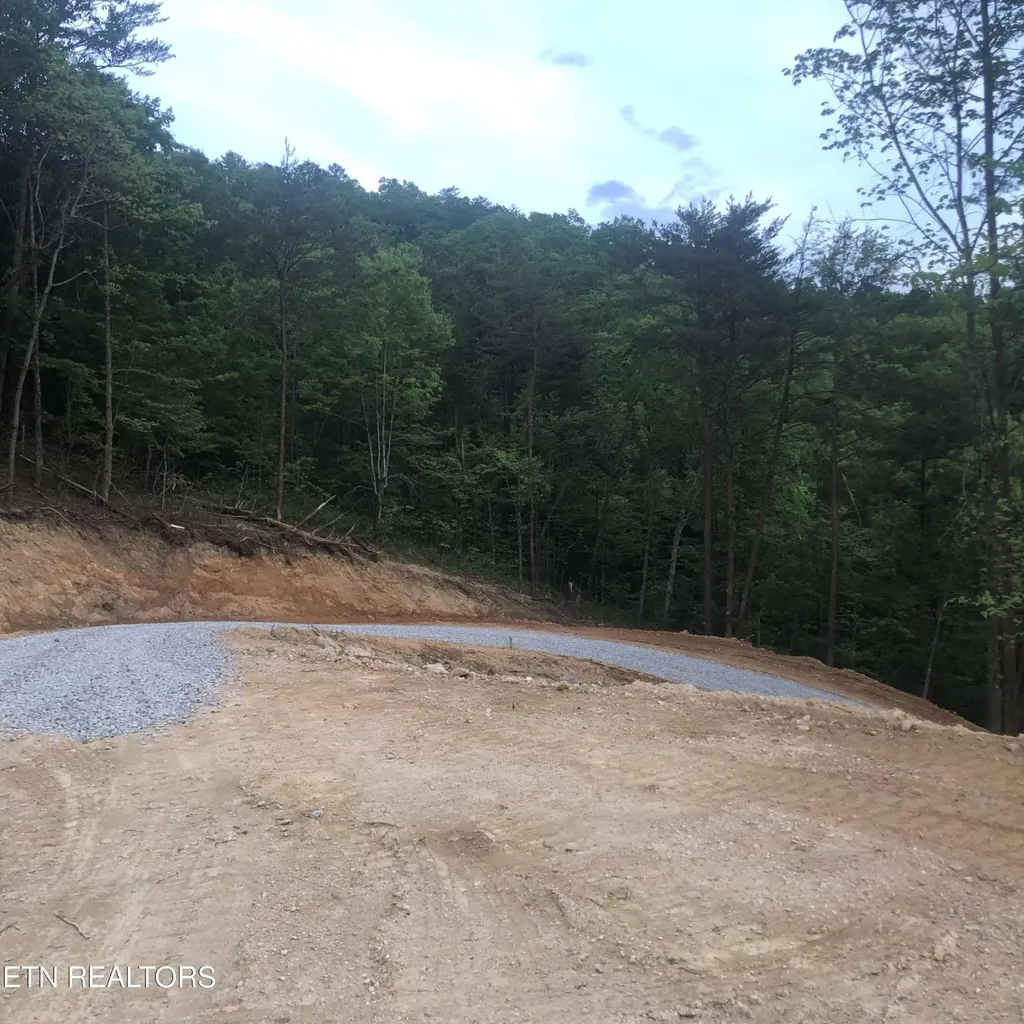 125 Indian Ridge Drive Tellico Plains TN 37385
