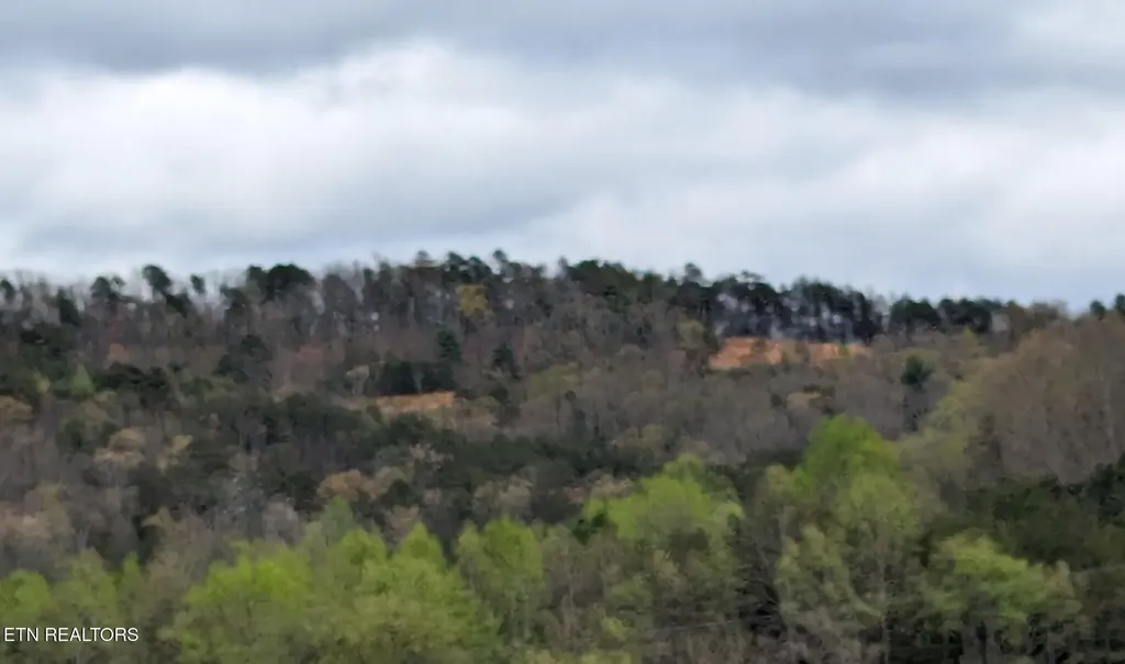 125 Indian Ridge Drive Tellico Plains TN 37385