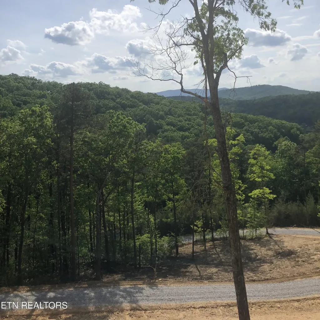 125 Indian Ridge Drive Tellico Plains TN 37385