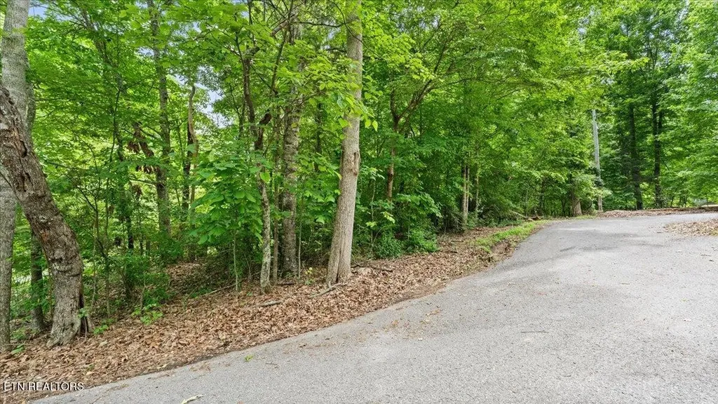 13136 George Lovelace Lane Knoxville TN 37932