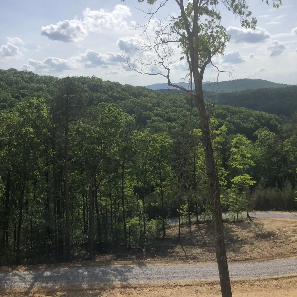 125 Indian Ridge Drive Tellico Plains TN 37385
