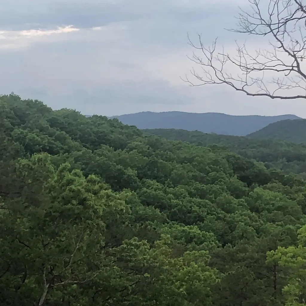 125 Indian Ridge Drive Tellico Plains TN 37385