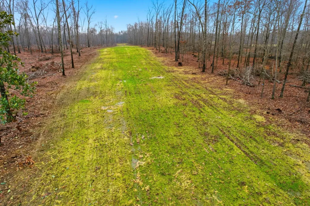 0 Whitaker Lane Belvidere TN 37306