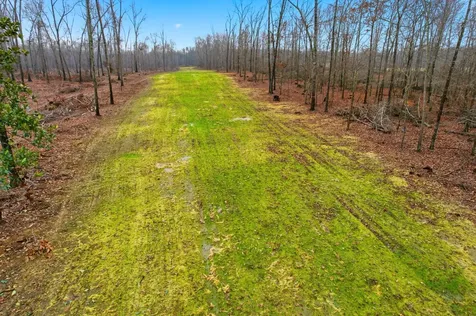 0 Whitaker Lane Belvidere TN 37306