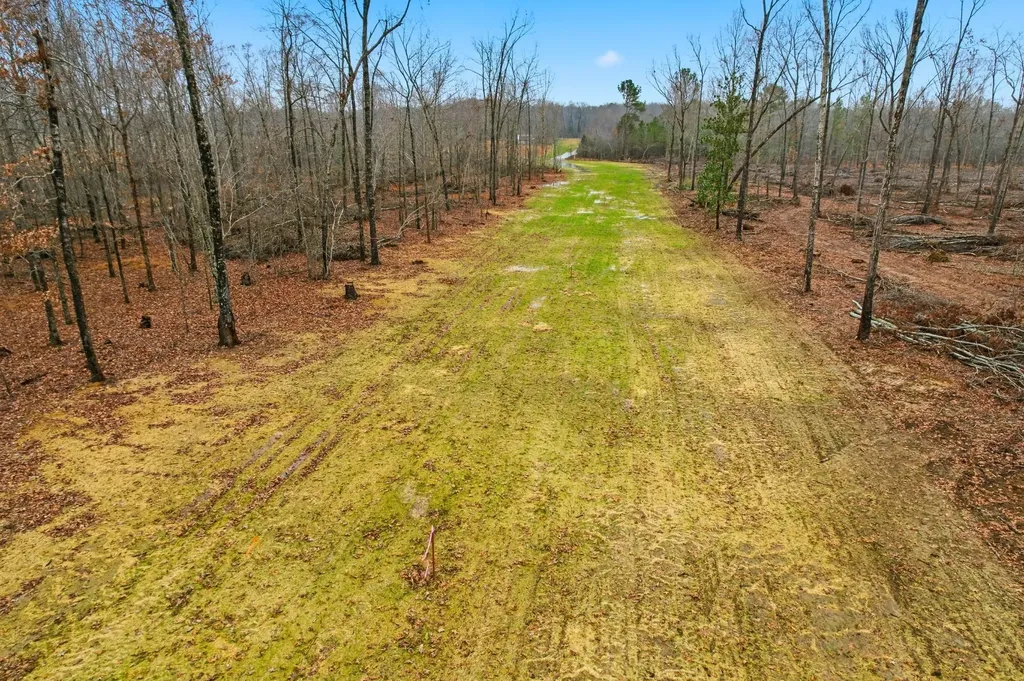 0 Whitaker Lane Belvidere TN 37306