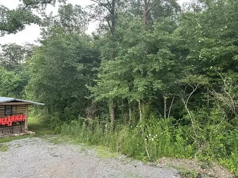 195 Shoreside Court Tracy City TN 37387