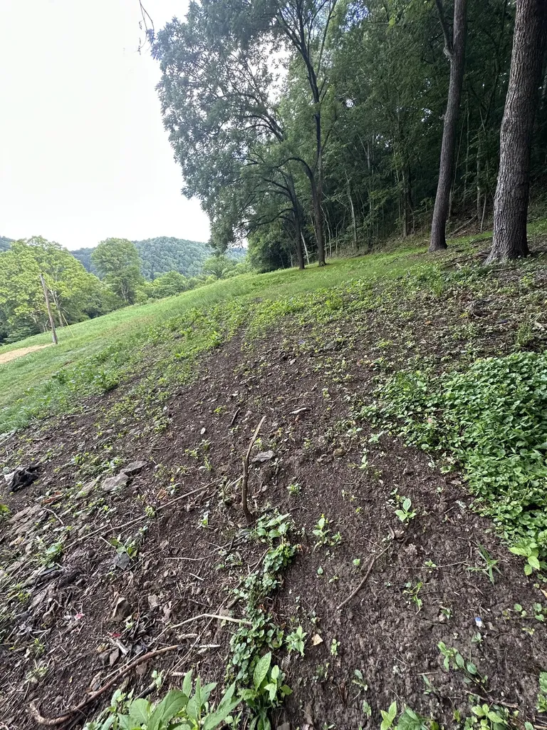 45 Friendship Hollow Road, N Pleasant Shade TN 37145