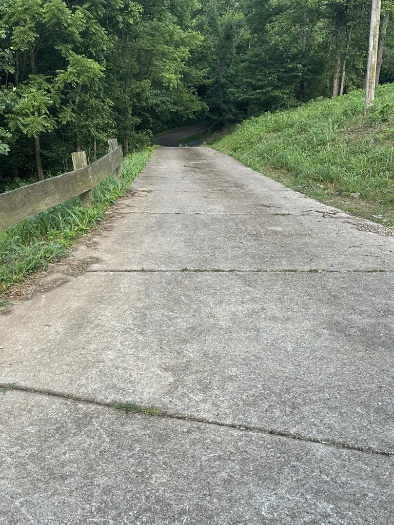 45 Friendship Hollow Road, N Pleasant Shade TN 37145