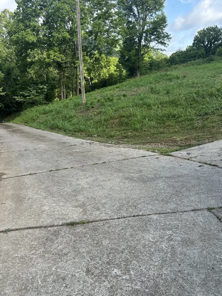 45 Friendship Hollow Road, N Pleasant Shade TN 37145