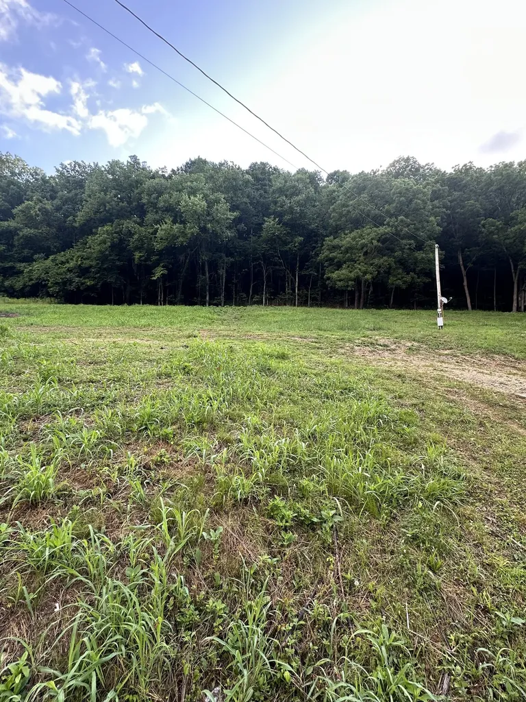 45 Friendship Hollow Road, N Pleasant Shade TN 37145