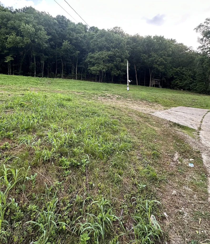 45 Friendship Hollow Road, N Pleasant Shade TN 37145