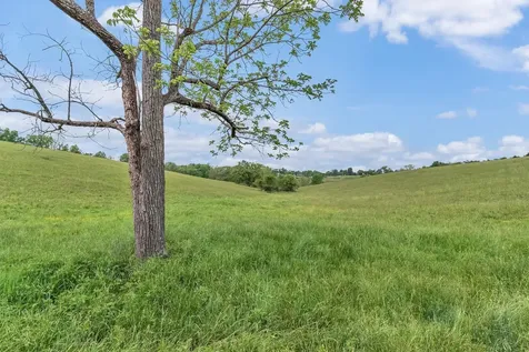 1528 Fairfield Road Westmoreland TN 37186
