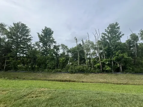 4154 Dream Beetle Loop Rockvale TN 37153