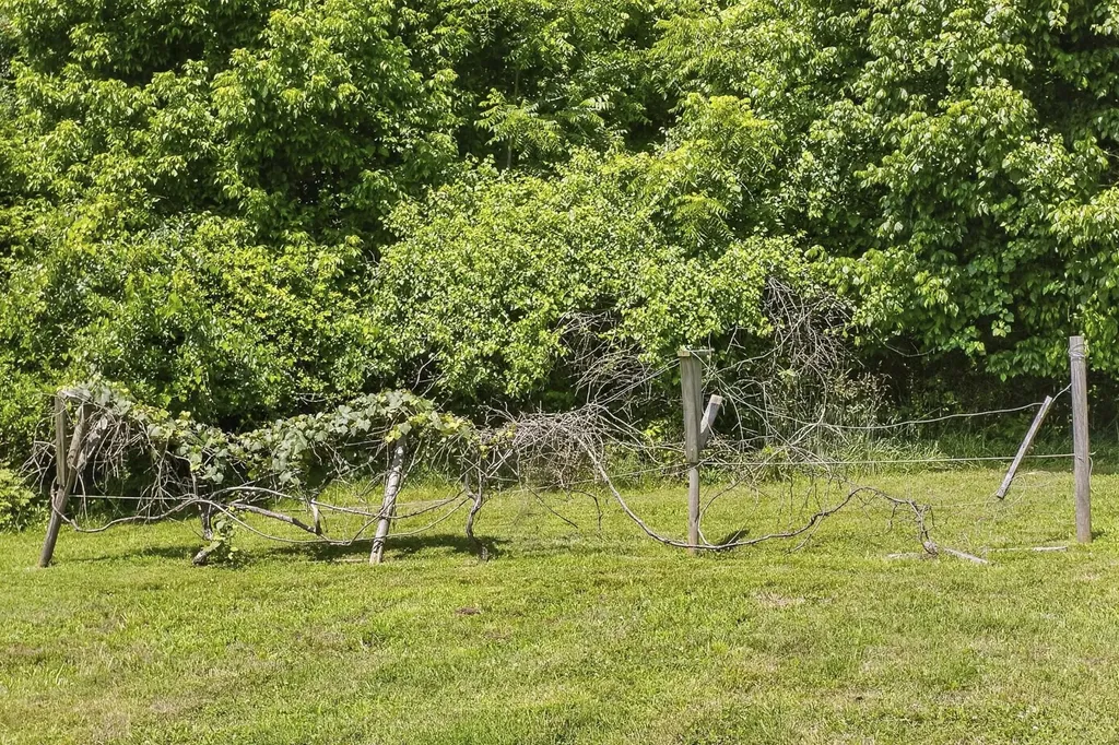 2305 Clara Mathis Road Spring Hill TN 37174