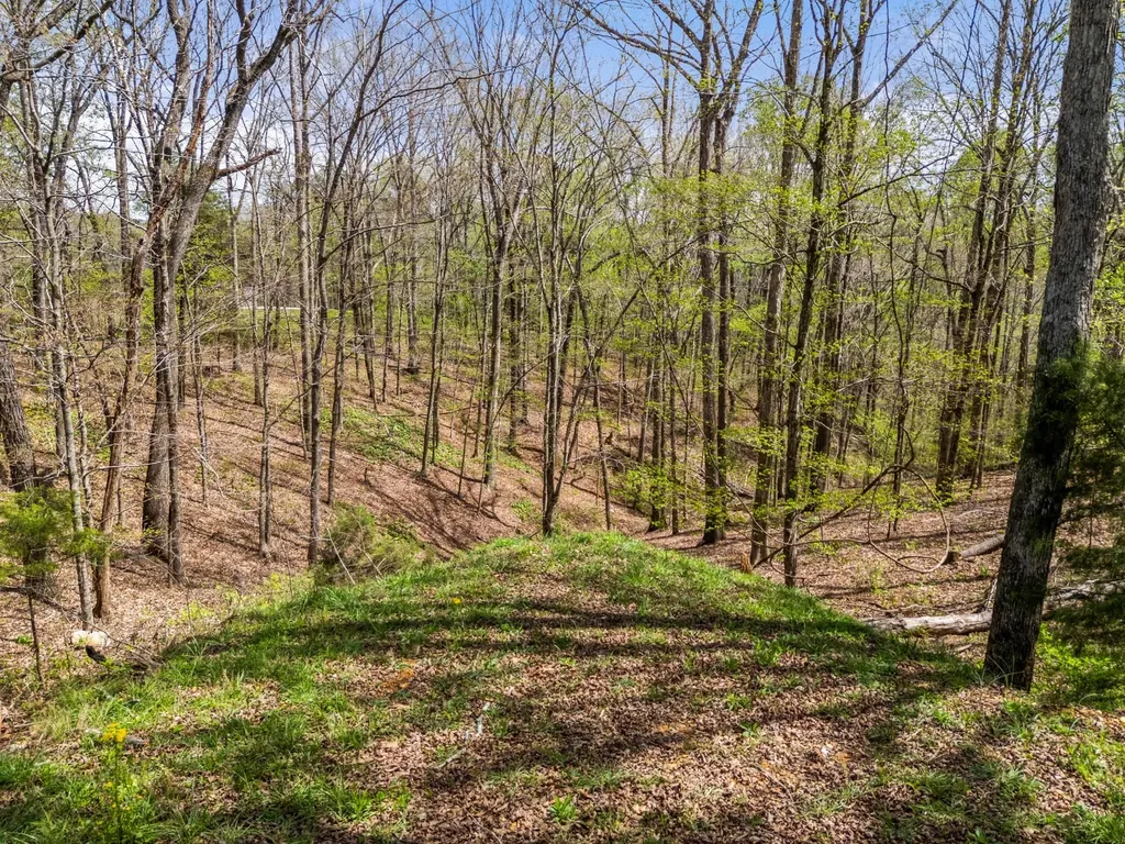 2210 Garners Creek Road Dickson TN 37055