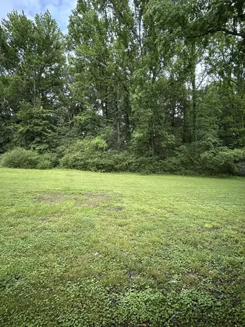 161 Post Oak Avenue Camden TN 38320