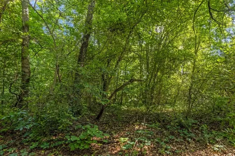 0 Quail Run Drive Chattanooga TN 37421