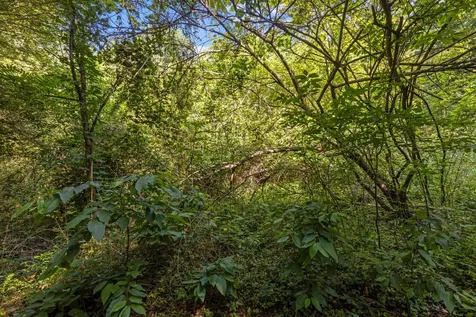 0 Quail Run Drive Chattanooga TN 37421