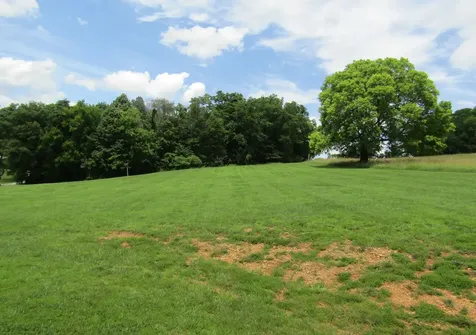 1296 Coosie Branch Road Cornersville TN 37047