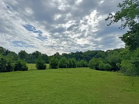 0 Gosnell Road Franklin KY 42134