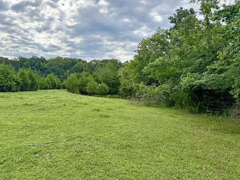 0 Gosnell Road Franklin KY 42134