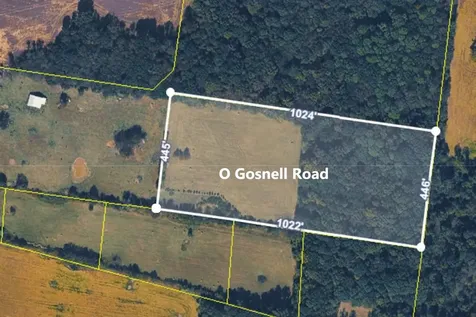 0 Gosnell Road Franklin KY 42134