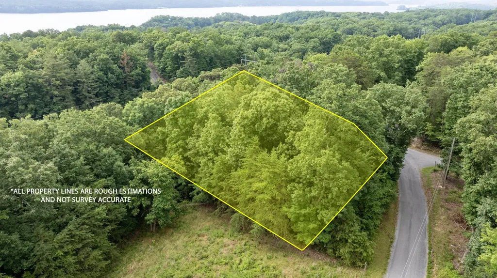 165 Maple Drive Spring City TN 37381