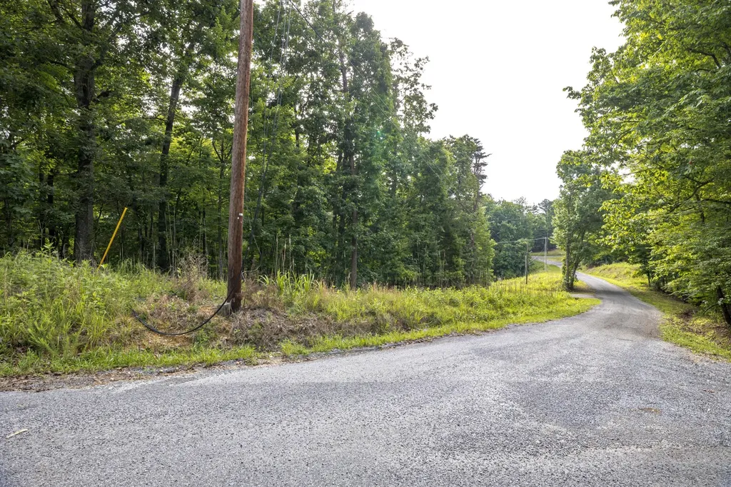 165 Maple Drive Spring City TN 37381