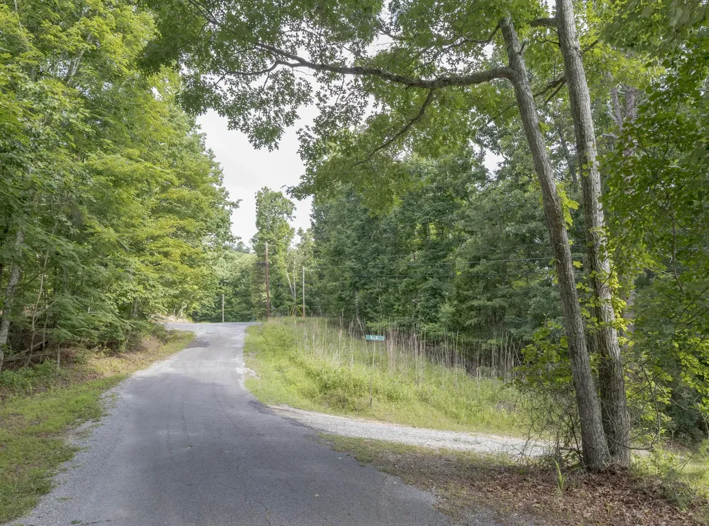 165 Maple Drive Spring City TN 37381