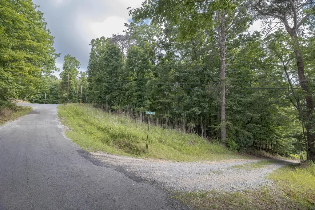 165 Maple Drive Spring City TN 37381