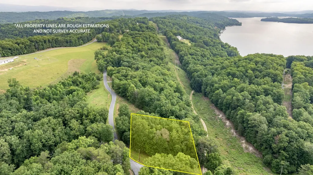 165 Maple Drive Spring City TN 37381