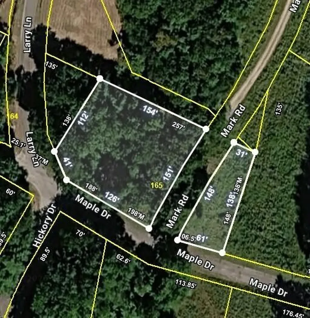 165 Maple Drive Spring City TN 37381