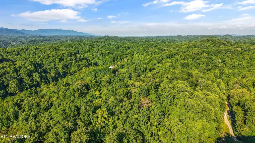 1717 Long Branch Road Seymour TN 37865