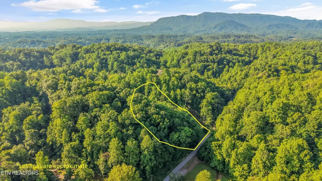 1717 Long Branch Road Seymour TN 37865