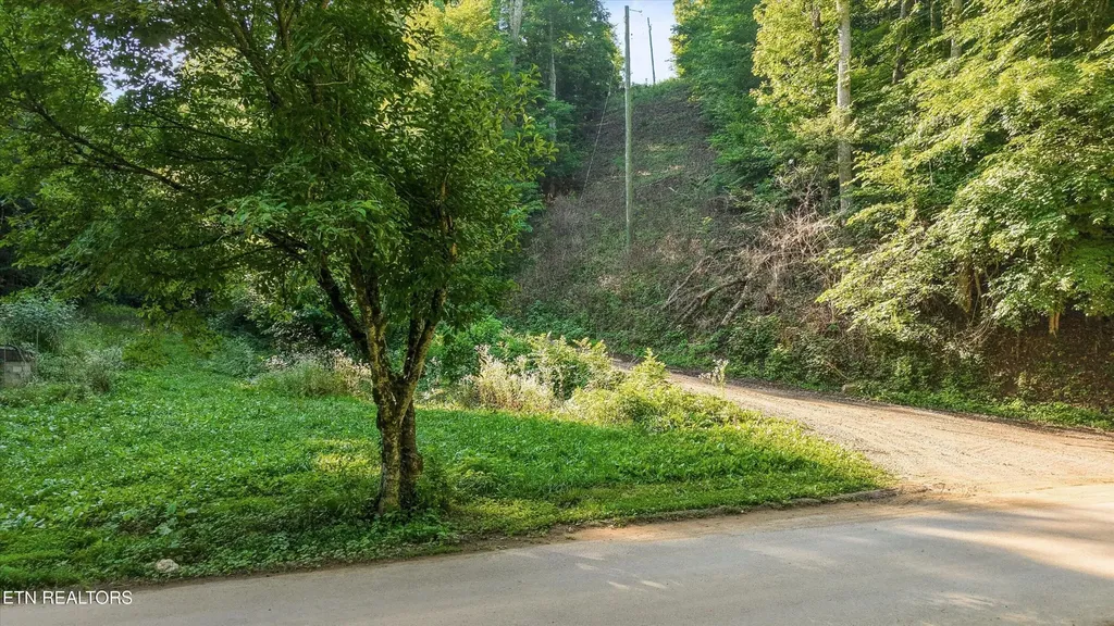 1717 Long Branch Road Seymour TN 37865