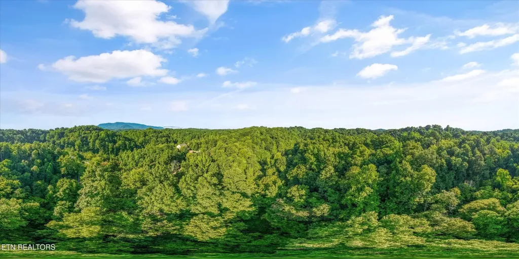 1717 Long Branch Road Seymour TN 37865