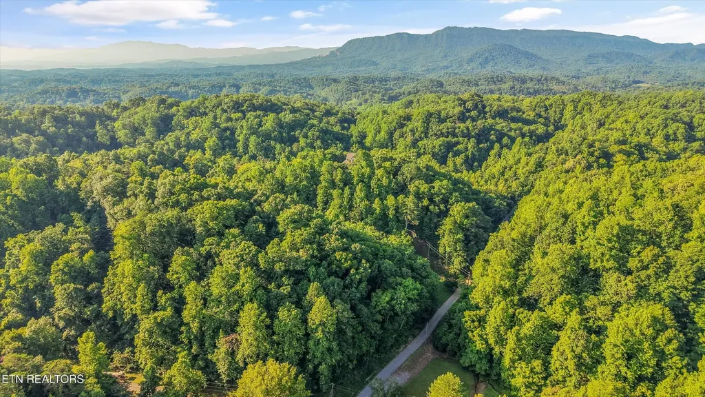 1717 Long Branch Road Seymour TN 37865