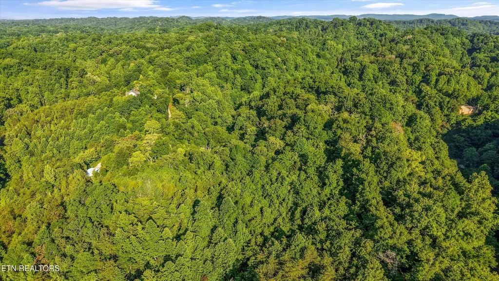 1717 Long Branch Road Seymour TN 37865
