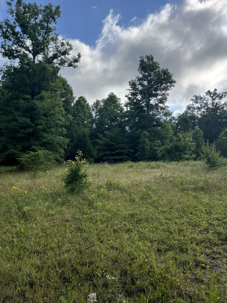0 Henley Drive Altamont TN 37301
