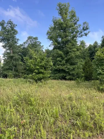 0 Henley Drive Altamont TN 37301