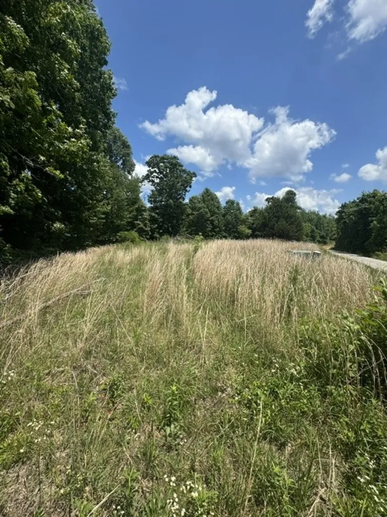 0 Claude Hargis Lane Crawford TN 38554