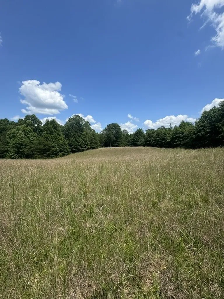 0 Claude Hargis Lane Crawford TN 38554