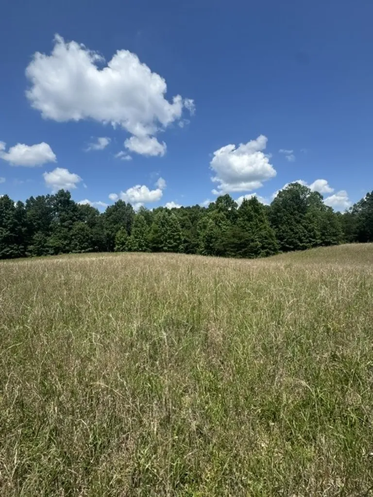 0 Claude Hargis Lane Crawford TN 38554