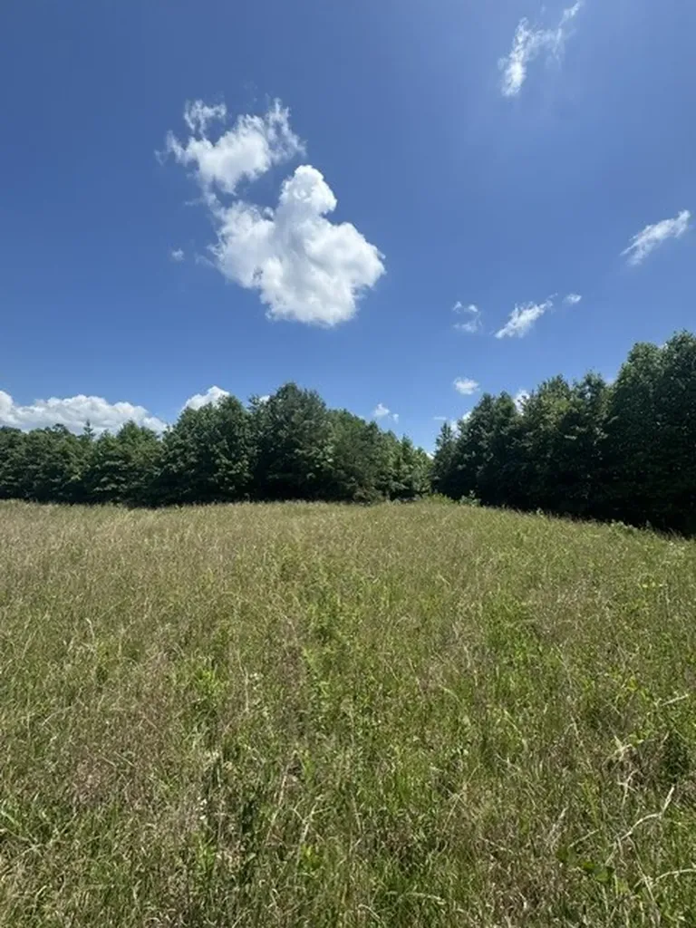 0 Claude Hargis Lane Crawford TN 38554