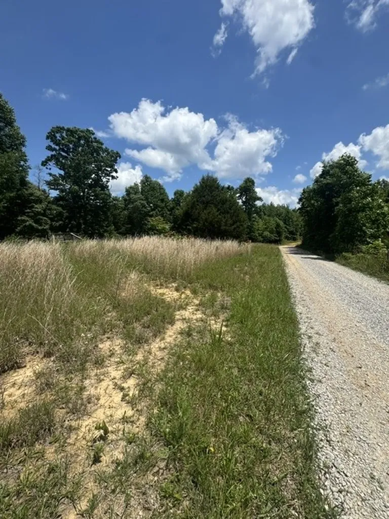0 Claude Hargis Lane Crawford TN 38554